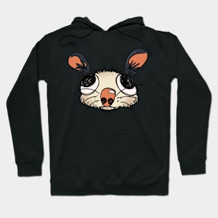 Big Eyed Possum Opossum V04 Hoodie